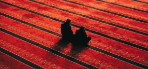 duanın özellikleri nelerdir